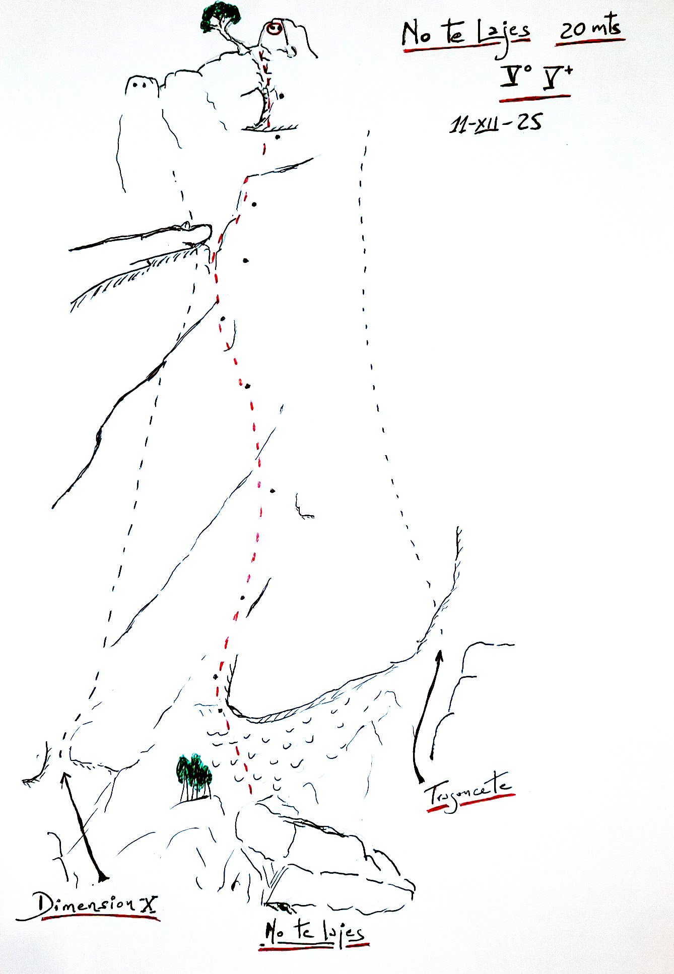 signal-2025-12-11-200708_002