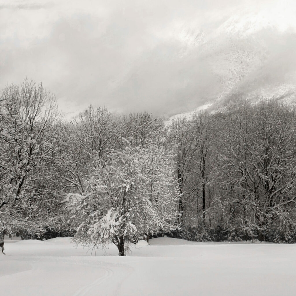 nieve-pineta-2-scaled