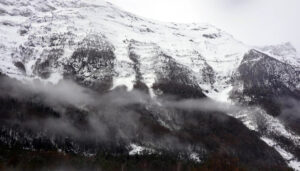 signal-2026-02-10-195619_005PP