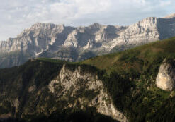 Cresta Montinier Puntas Verdes